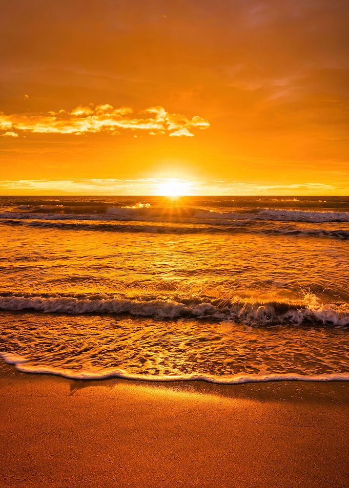 Sunrise beach landscape