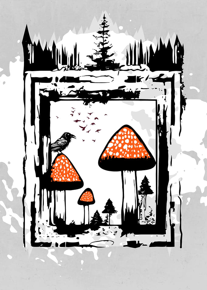 Autumn Mushrooms Forest