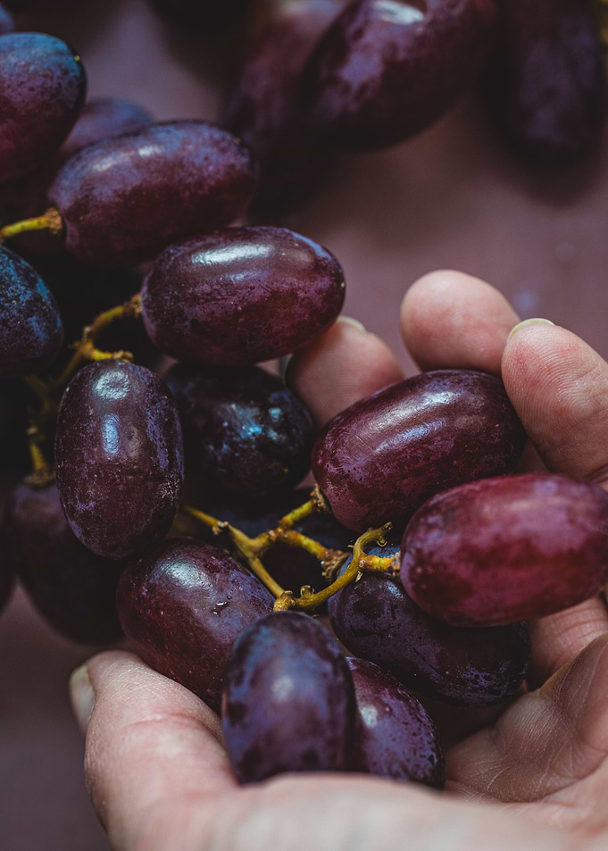 Grapes