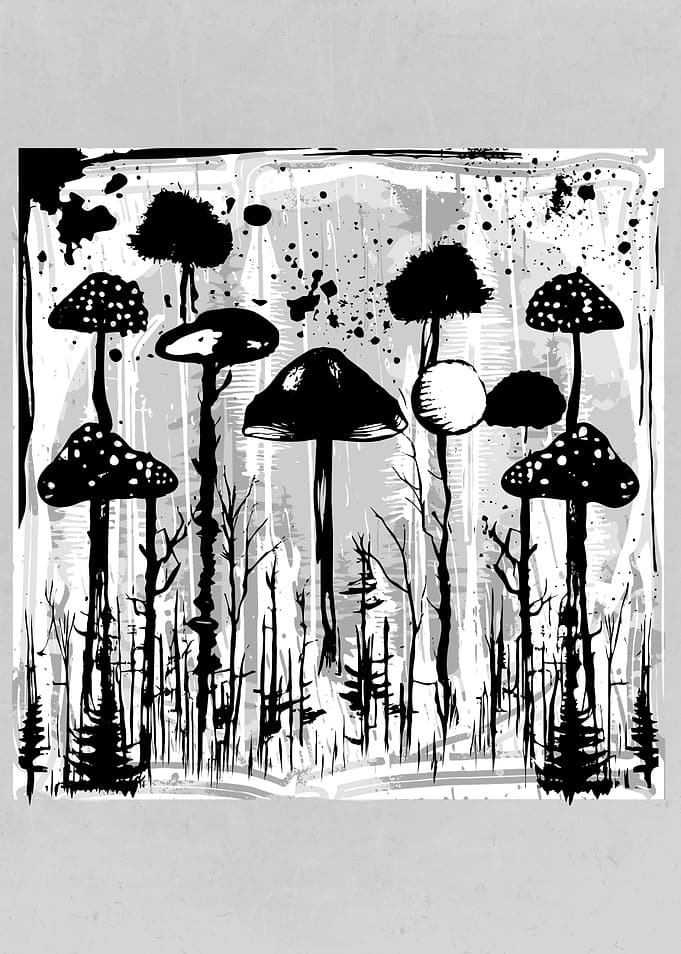 Autumn Mushrooms Forest