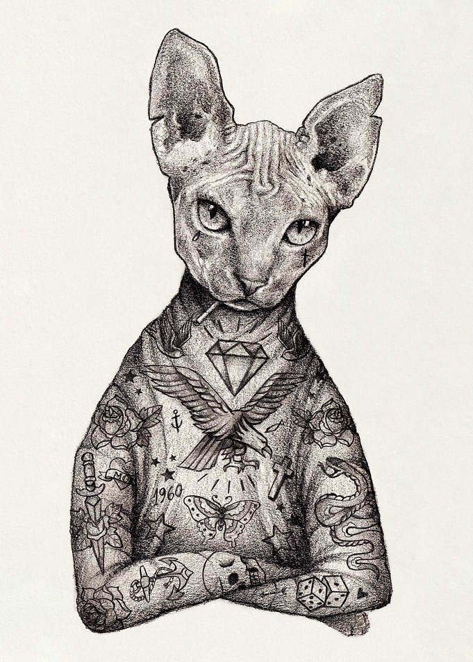sphynx