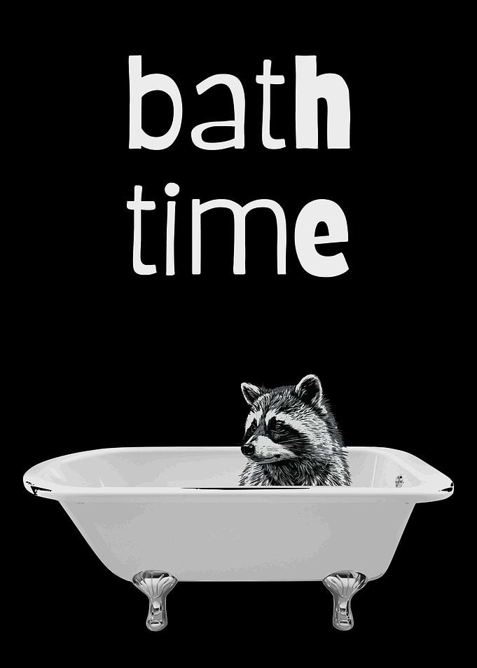 BATH TIME RACCOON