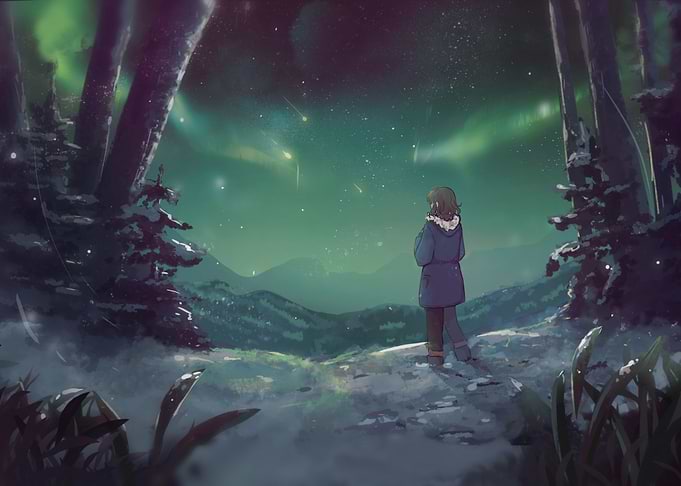 The Northern lights
