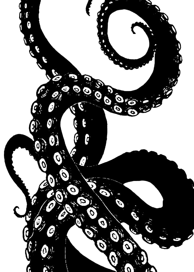 Octopus