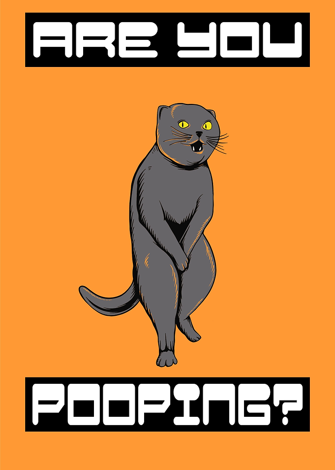 Cat are you pooping