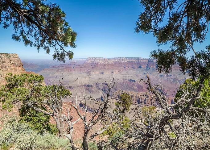 GRAND CANYON Navajo Point