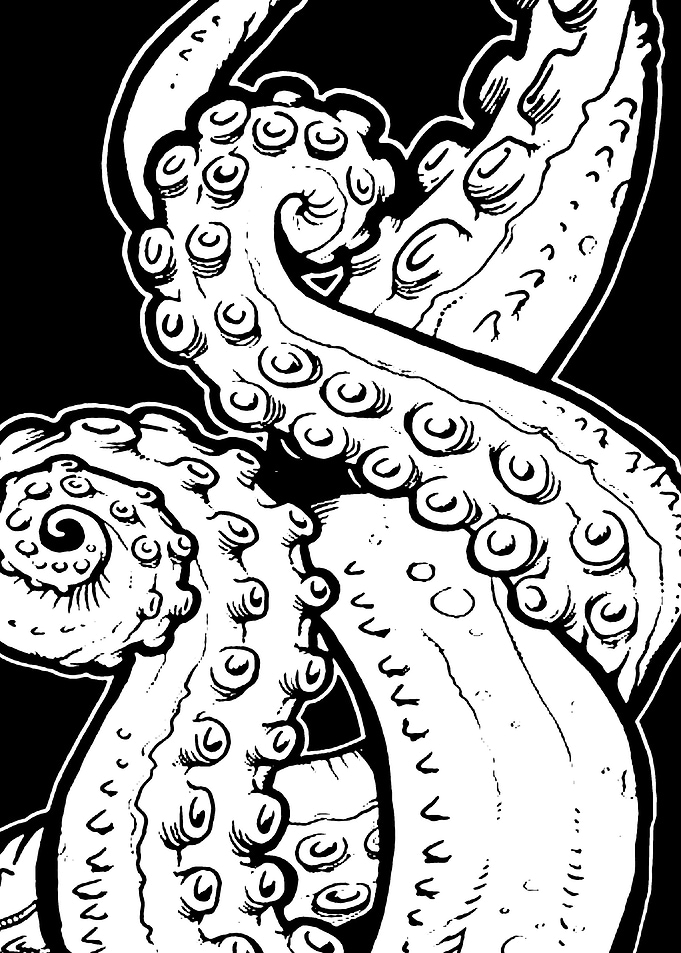 Octopus