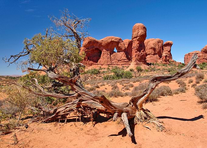 Arches National Park