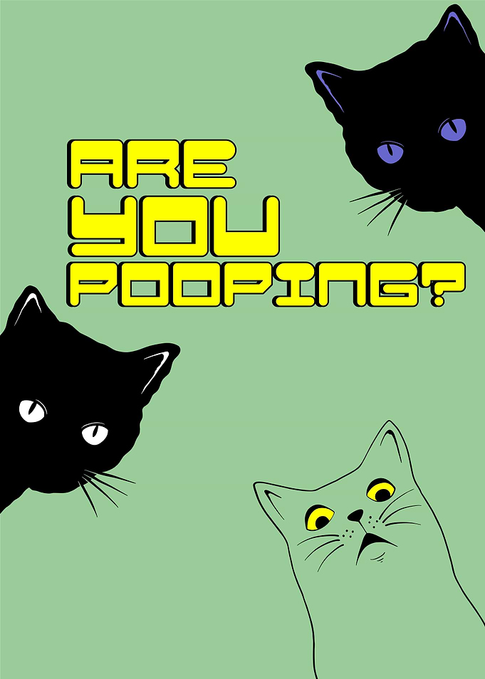 Black cat are you pooping