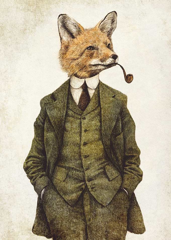 The Fox