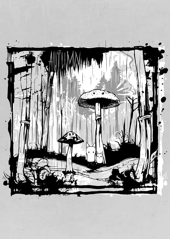 Autumn Mushrooms Forest