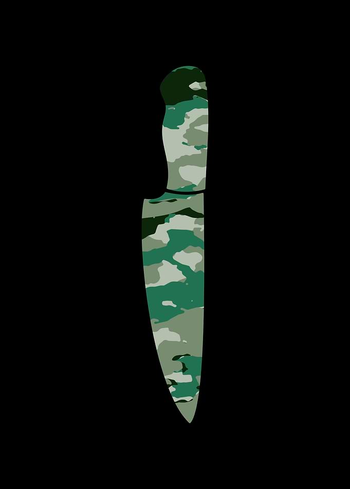 Cook Chef Cooking Knife