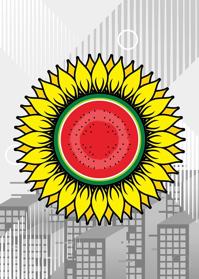 SUNFLOWER WATERMELON