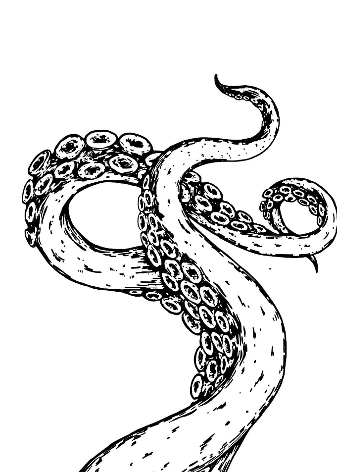 Octopus