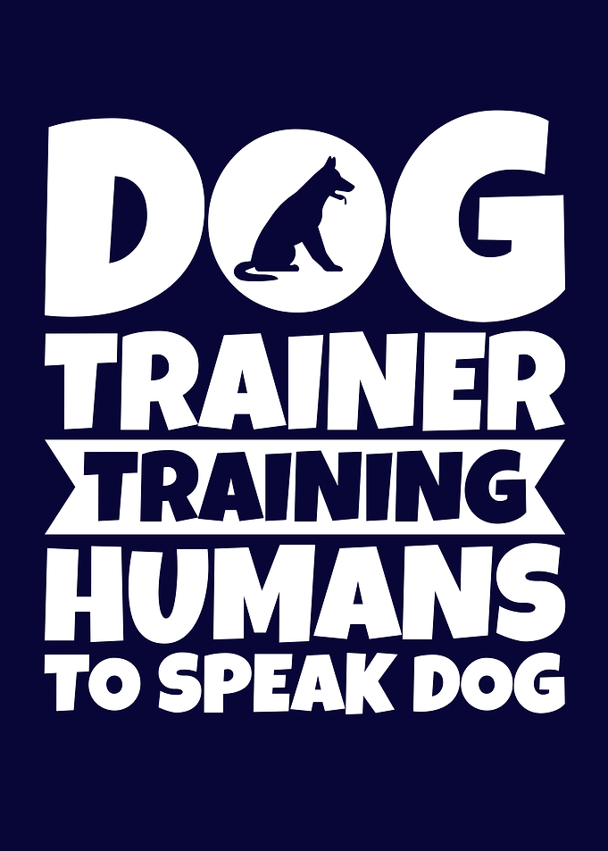 Dog trainer dog sport