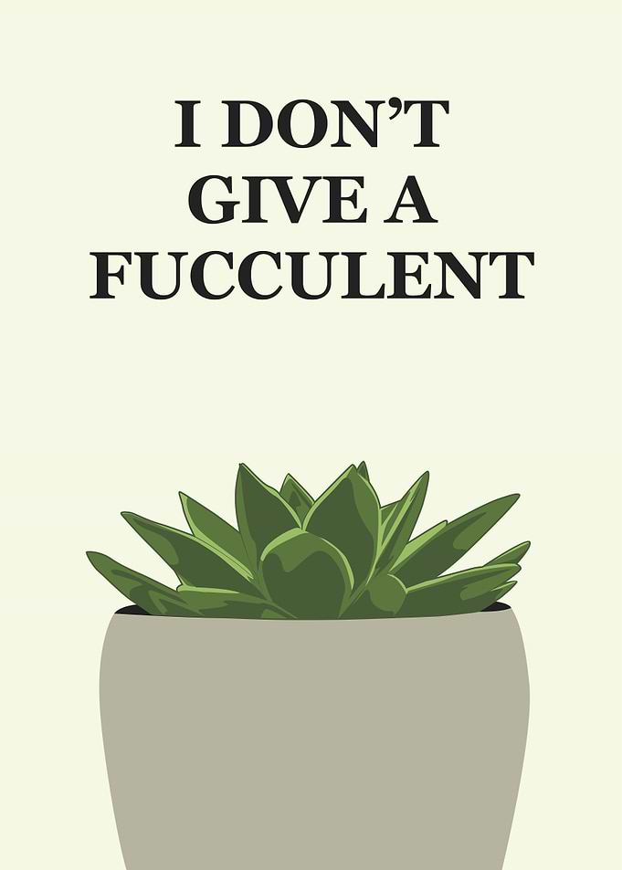 fucculent