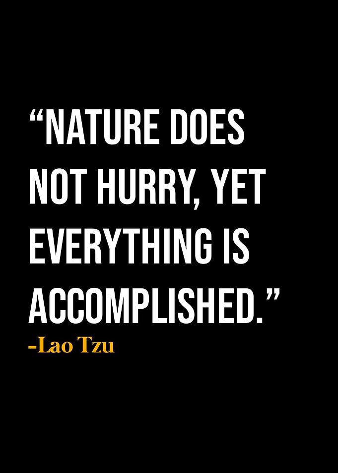Lao Tzu Quote