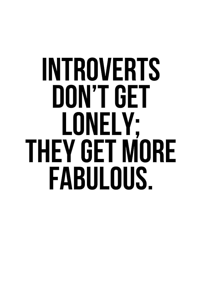 introvert funny quote