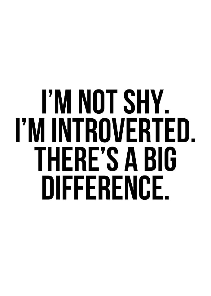 introvert funny quote