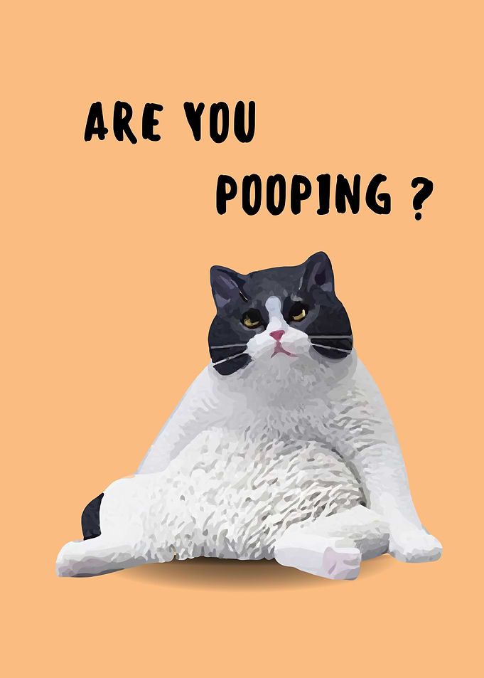 are you pooping