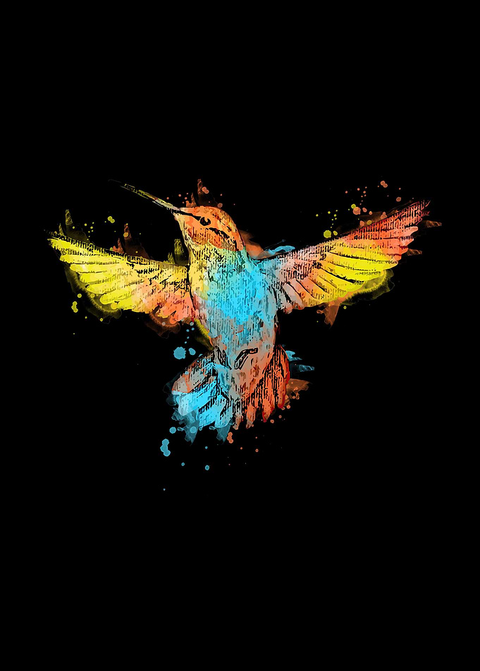 Bird Art