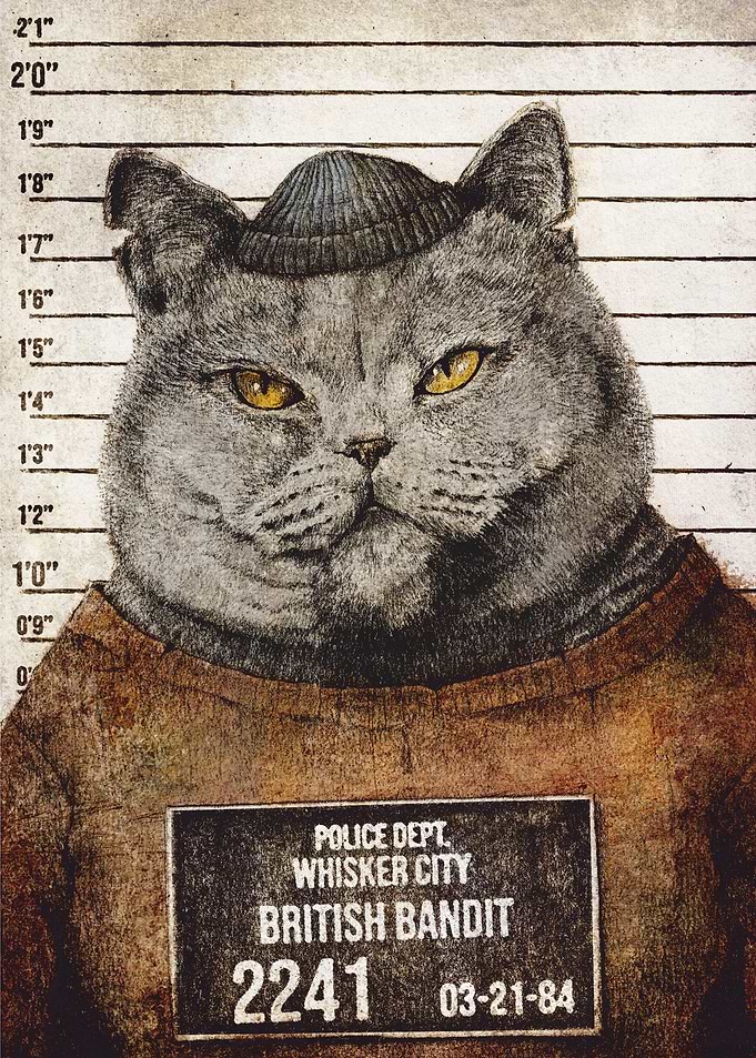 British Bandit