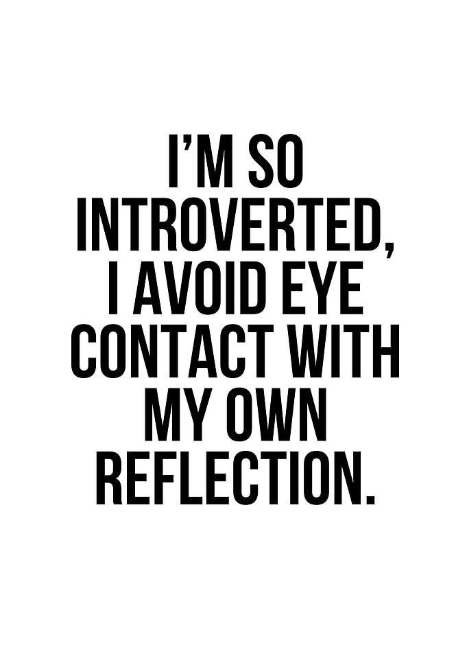 introvert funny quote