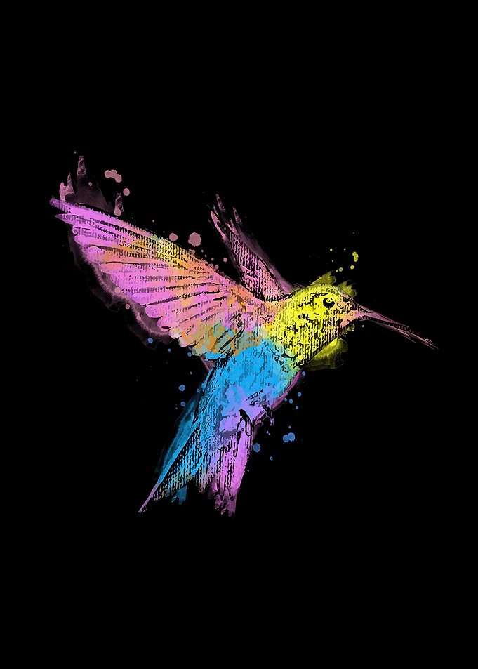Bird Art