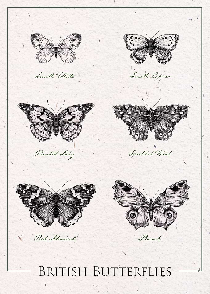 British Butterflies