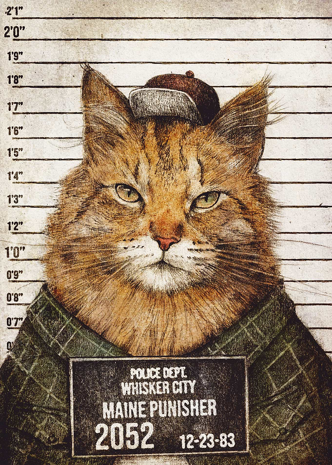 Maine Coon