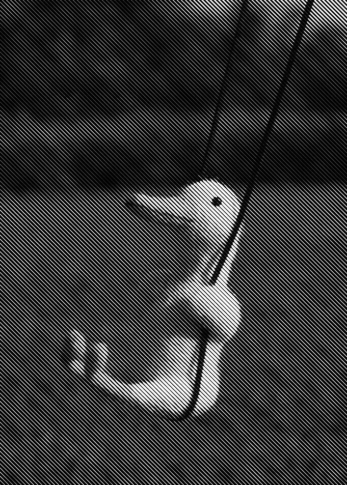 happy swing duck