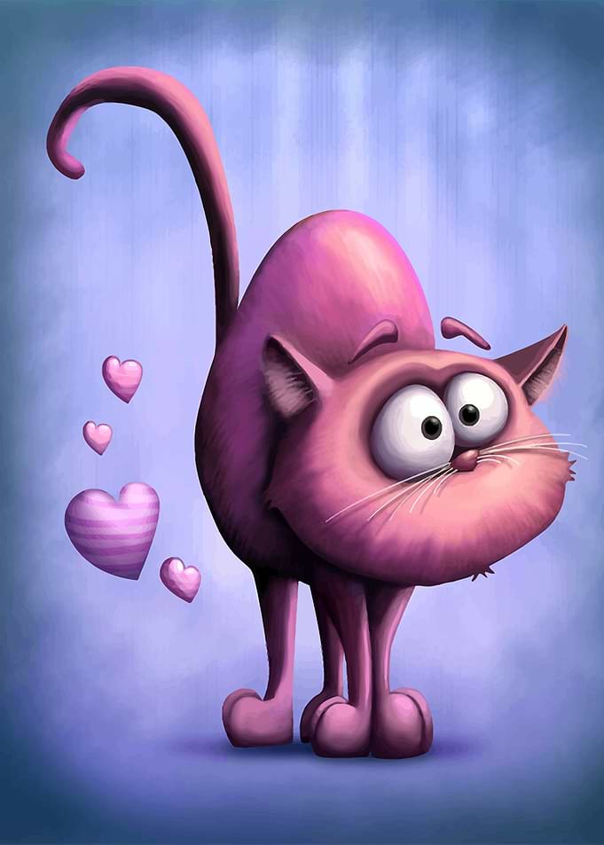 The Cat