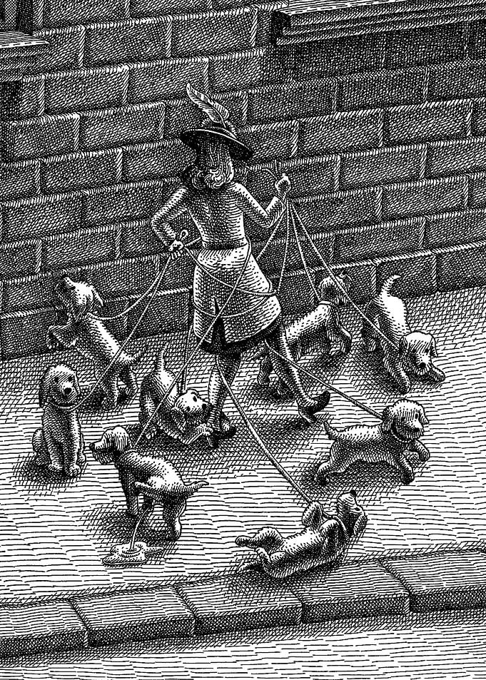 Dog walking