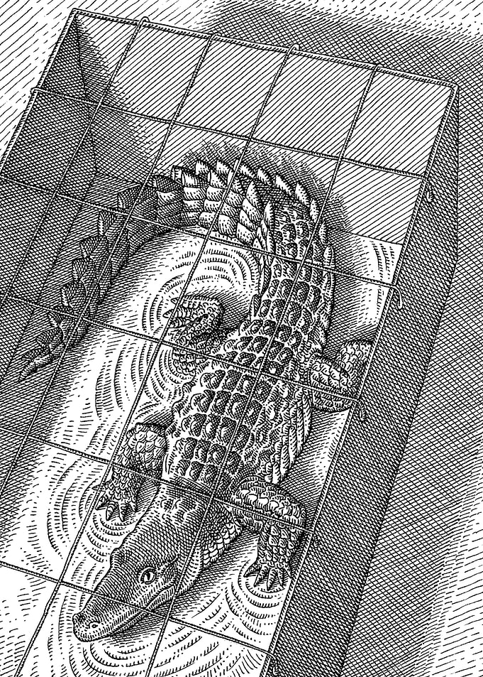 In the cage