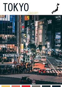 TOKYO TRAVEL POSTER