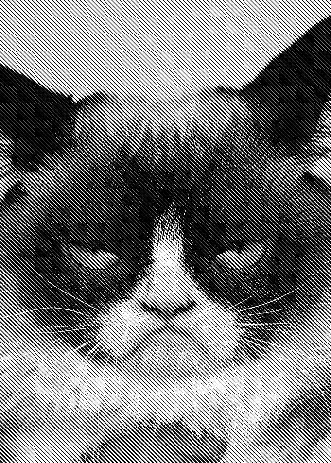 grumpy cat