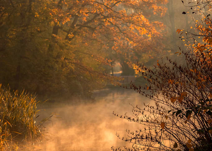 Autumn impression