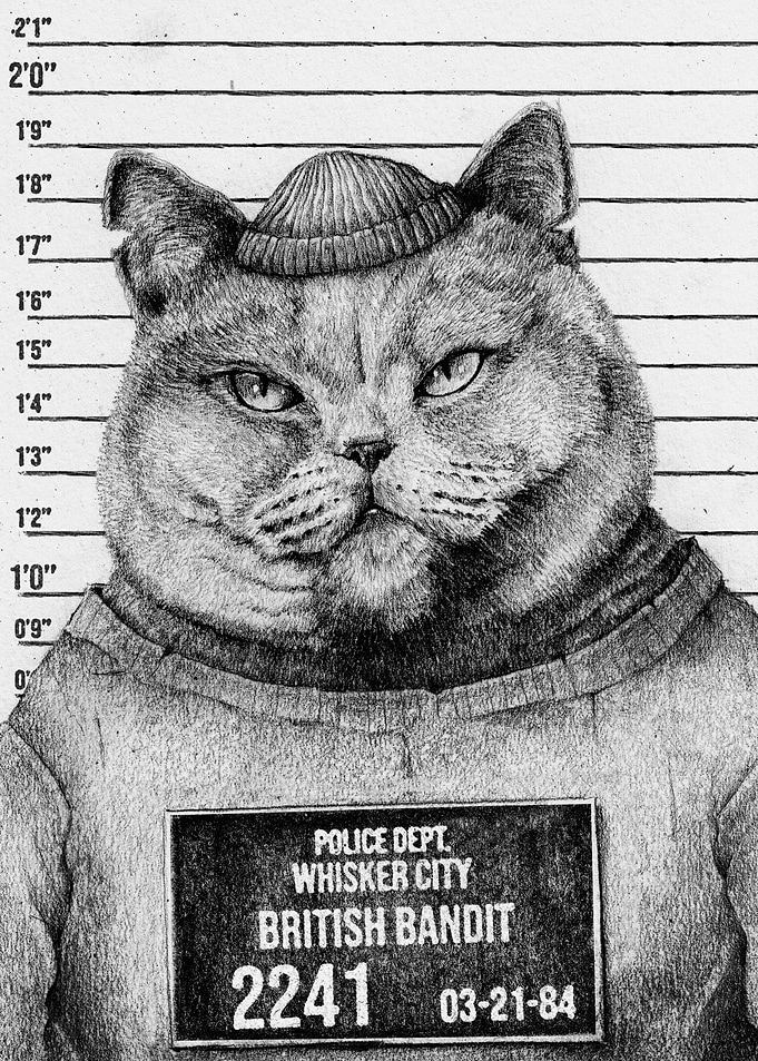 British Bandit bw
