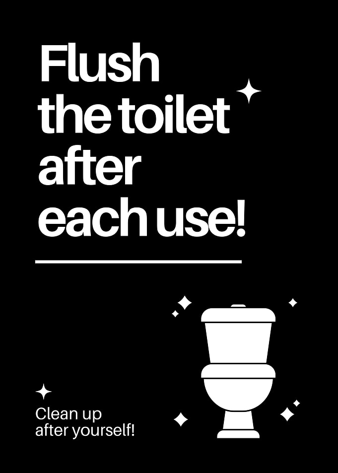 flush bathroom