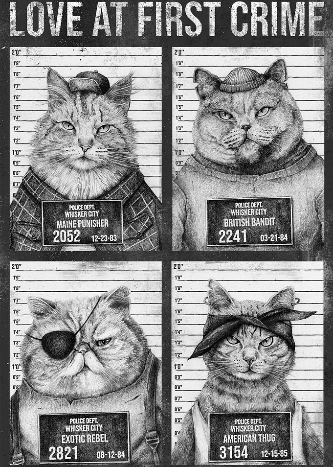 Love at first crime