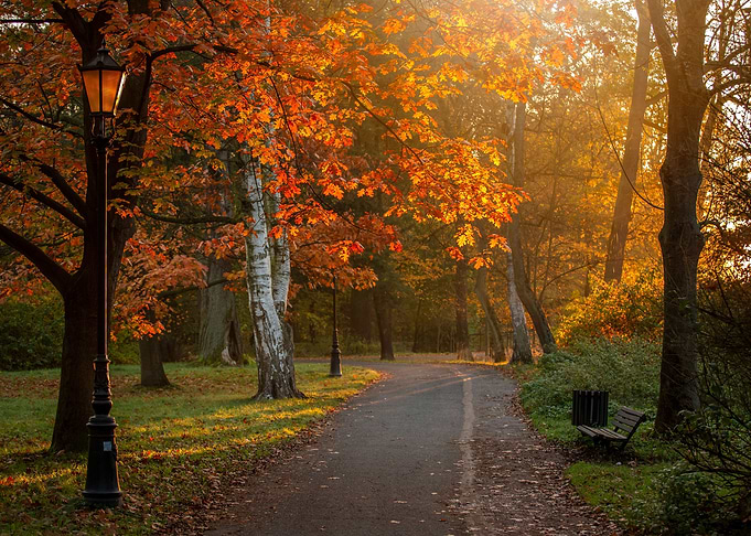 Autumn morning