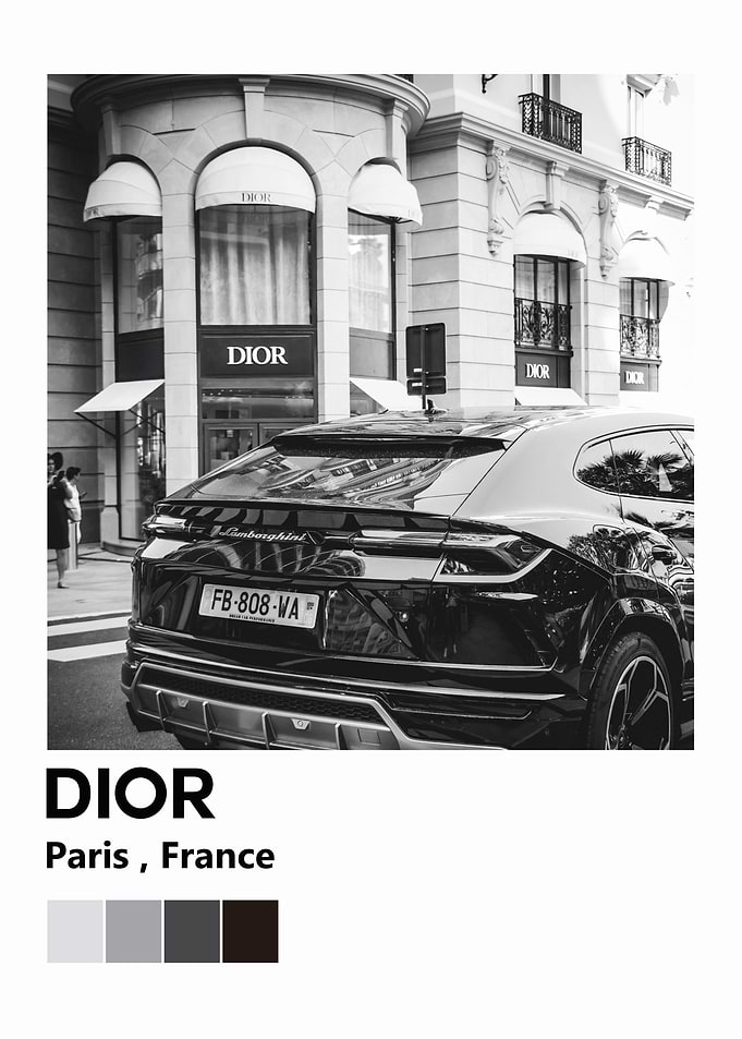 dior is fashion