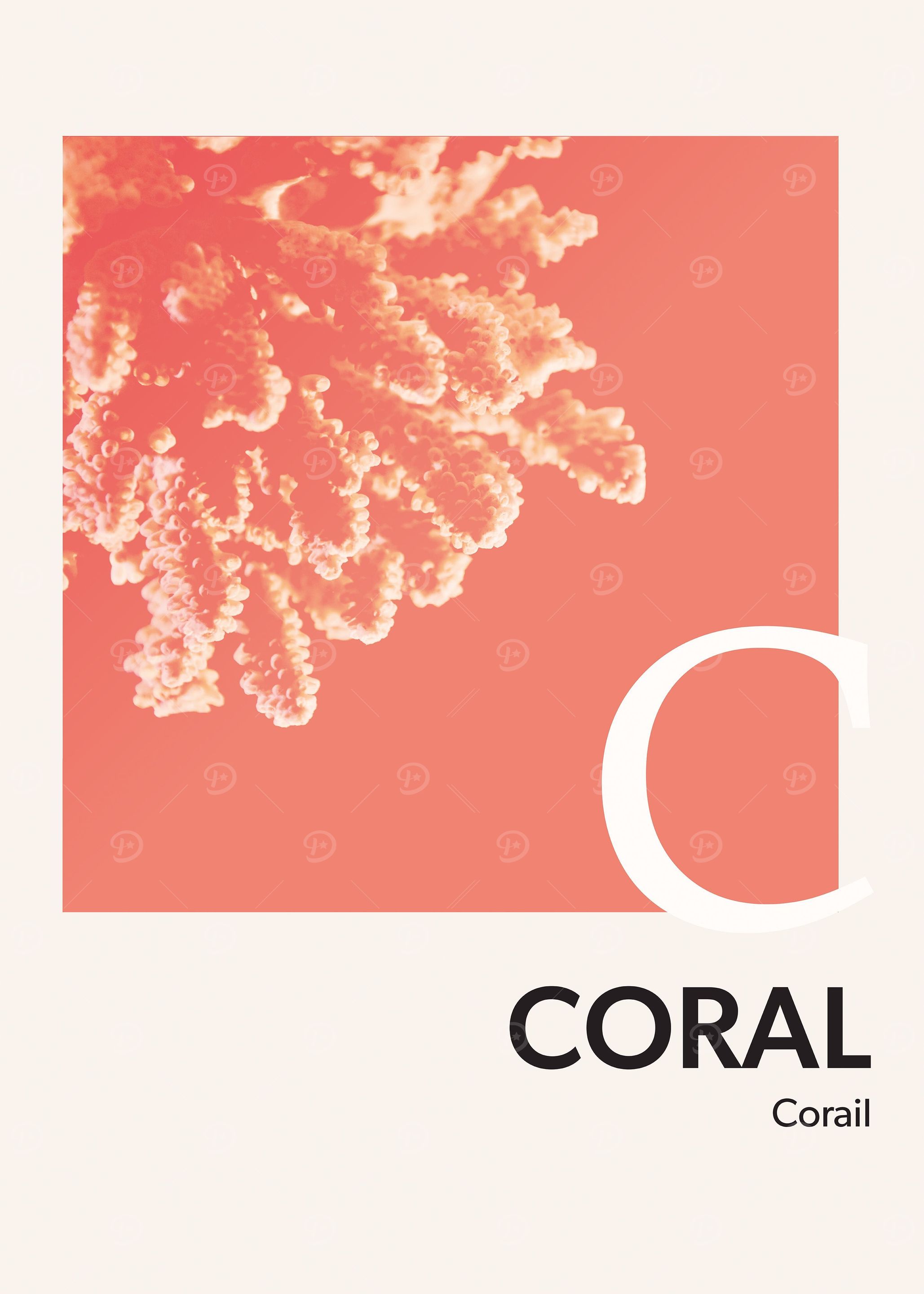 Color Alphabet Coral C