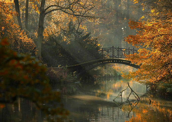 Autumn morning