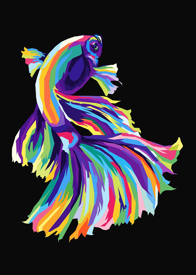 Fish Art Colorful