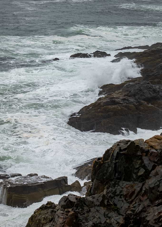 Waves on the Coast
