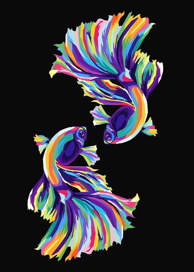 Fish Colorful Pop Art