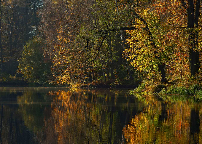 Autumn