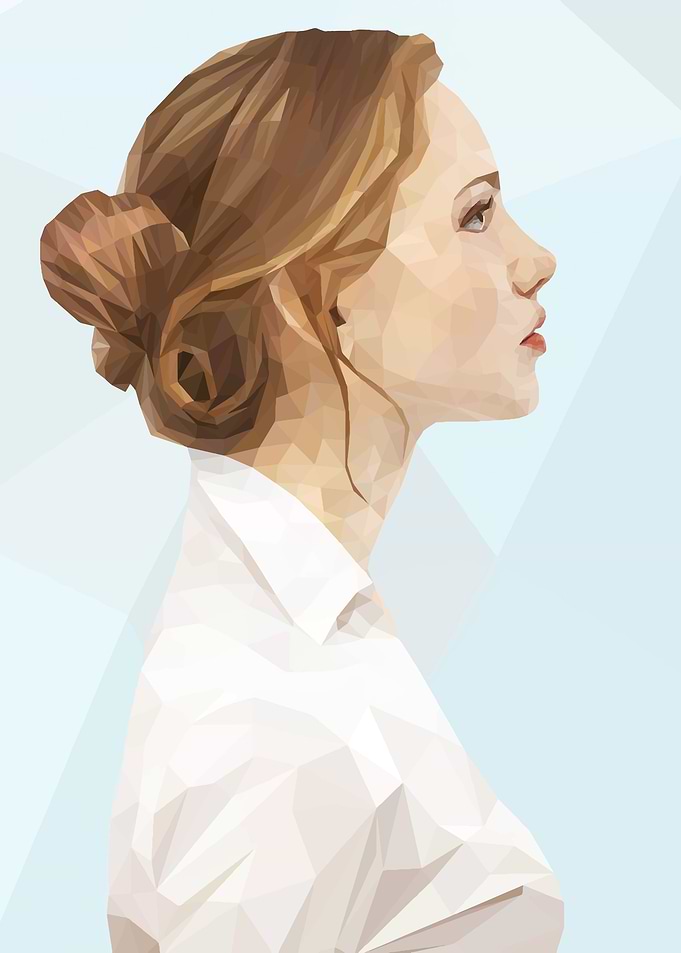 minimalist lowpoly art