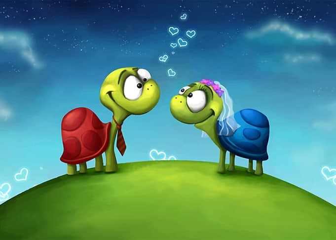 Turti and Turto